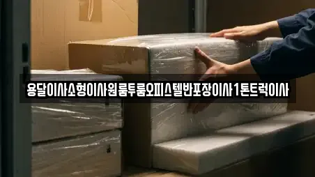 용달이사소형이사원룸투룸오피스텔반포장이사1톤트럭이사
