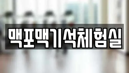 맥포맥기석체험실