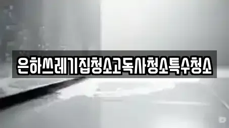 청소 업체 7곳 (전라남도 오량동)