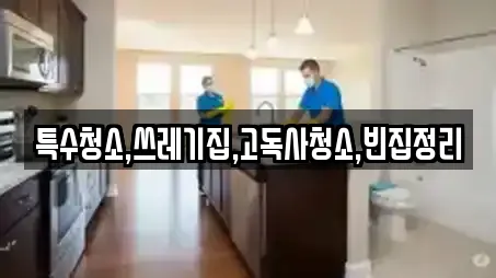 특수청소,쓰레기집,고독사청소,빈집정리