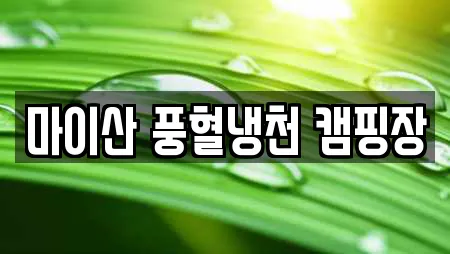 마이산 풍혈냉천 캠핑장