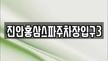 진안홍삼스파주차장입구3