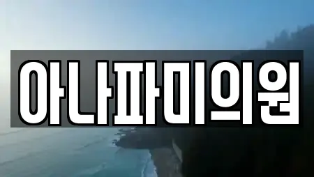 아나파미의원
