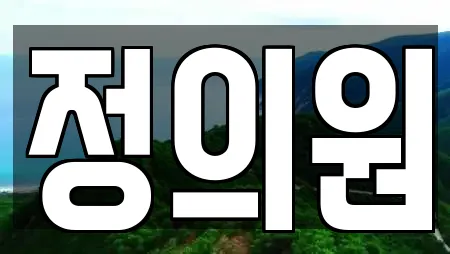 정의원