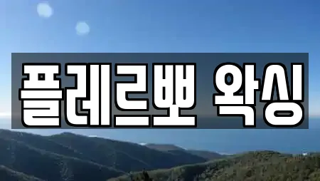 플레르뽀 왁싱