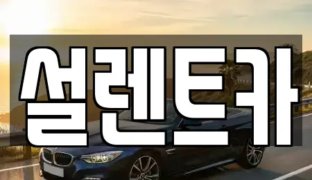 렌트카 TOP 19곳 전북 전주시 완산구 서신동 렌트카 TOP 19곳 전북 전주시 완산구 서신동