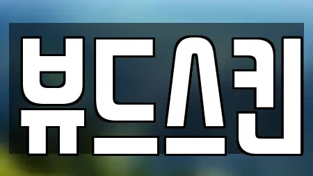 뷰드스킨