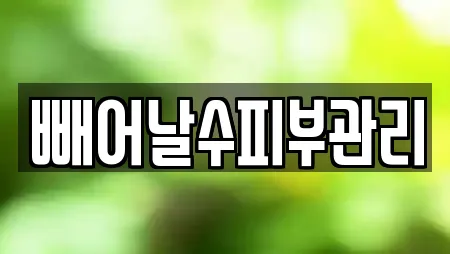 빼어날수피부관리
