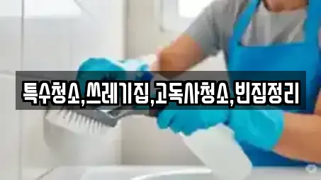 특수청소,쓰레기집,고독사청소,빈집정리