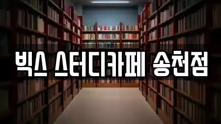 빅스 스터디카페 송천점