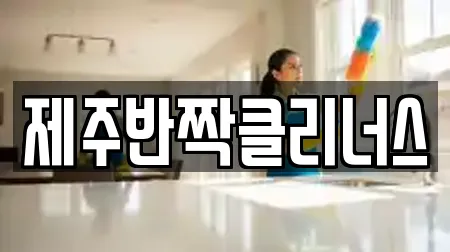 제주반짝클리너스