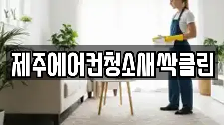 제주에어컨청소새싹클린
