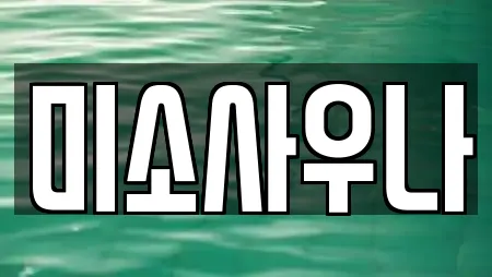 미소사우나