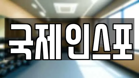국제인스포