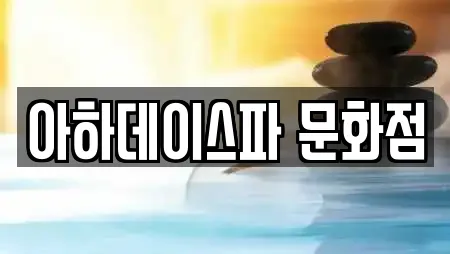 아하데이스파 문화점