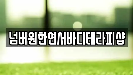 넘버원한연서바디테라피샵