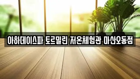 아하데이스파 토르밀린 저온체험관 마산오동점