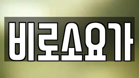 비로소요가