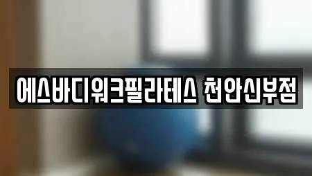 에스바디워크필라테스 천안신부점