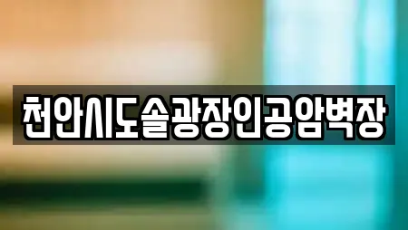 천안시도솔광장인공암벽장