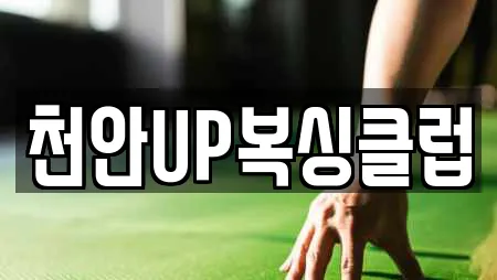 천안UP복싱클럽