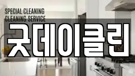 굿데이클린
