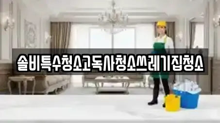 솔비특수청소고독사청소쓰레기집청소