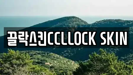 끌락스킨CCLLOCK SKIN