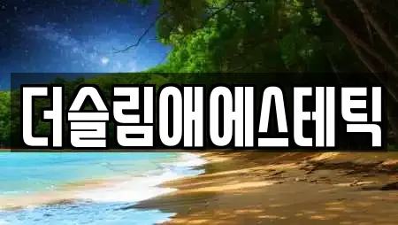더슬림애에스테틱