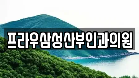 청주 용정동 추천 산부인과,피부과,에스테틱,산후조리원,한의원 업체검색 청주 용정동 추천 산부인과,피부과,에스테틱,산후조리원,한의원 업체검색