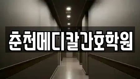 춘천메디칼간호학원