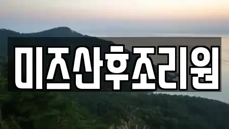 미즈산후조리원