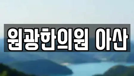 원광한의원 아산
