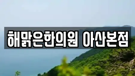 해맑은한의원 아산본점