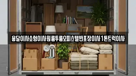 용달이사소형이사원룸투룸오피스텔반포장이사1톤트럭이사