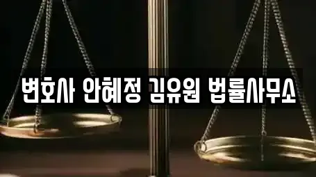 변호사 안혜정 김유원 법률사무소