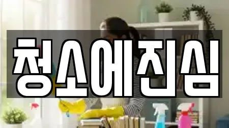 청소에진심