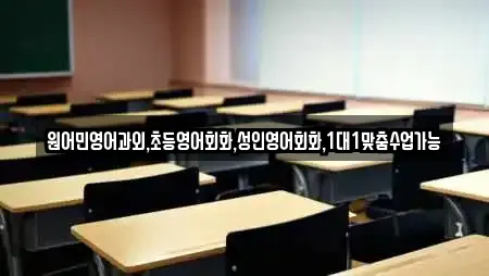 원어민영어과외,초등영어회화,성인영어회화,1대1맞춤수업가능