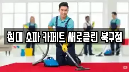 침대 소파 카페트 새로클린 북구점