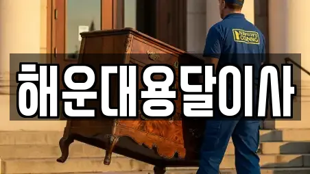 해운대용달이사