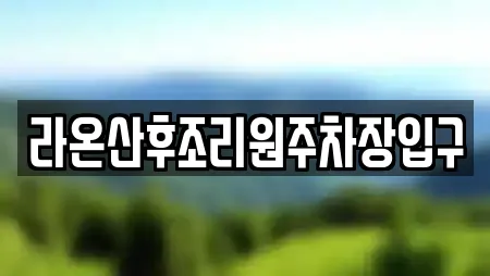 라온산후조리원주차장입구