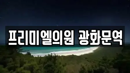 프리미엘의원 광화문역