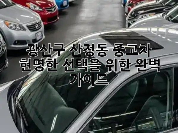 광산구 산정동 중고차, 현명한 선택을 위한 완벽 가이드 🚗✨