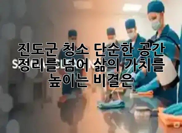 진도군 청소, 단순한 공간 정리를 넘어 삶의 가치를 높이는 비결은? ✨