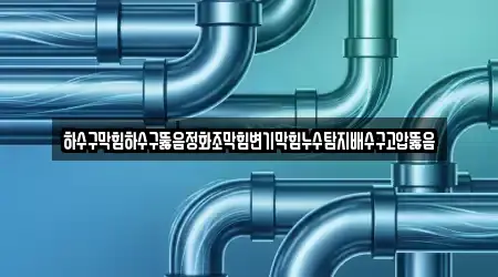 하수구막힘하수구뚫음정화조막힘변기막힘누수탐지배수구고압뚫음