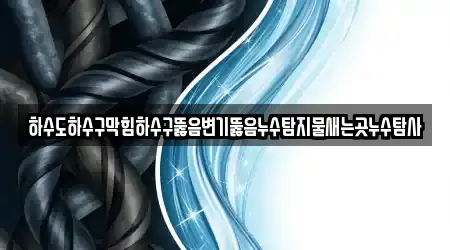하수도하수구막힘하수구뚫음변기뚫음누수탐지물새는곳누수탐사