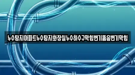 누수탐지아파트누수탐지화장실누수하수구막힘변기뚫음변기막힘