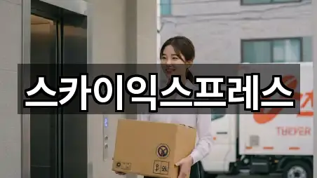 스카이익스프레스