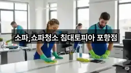 소파,쇼파청소 침대토피아 포항점