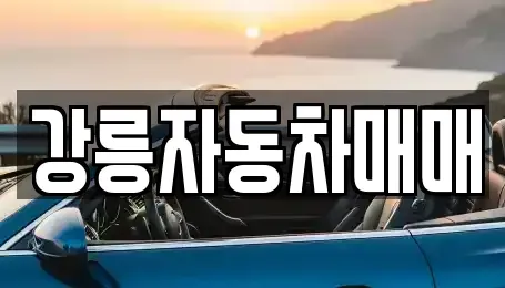 강원 강릉시 구정면 중고차 전문 강릉자동차매매